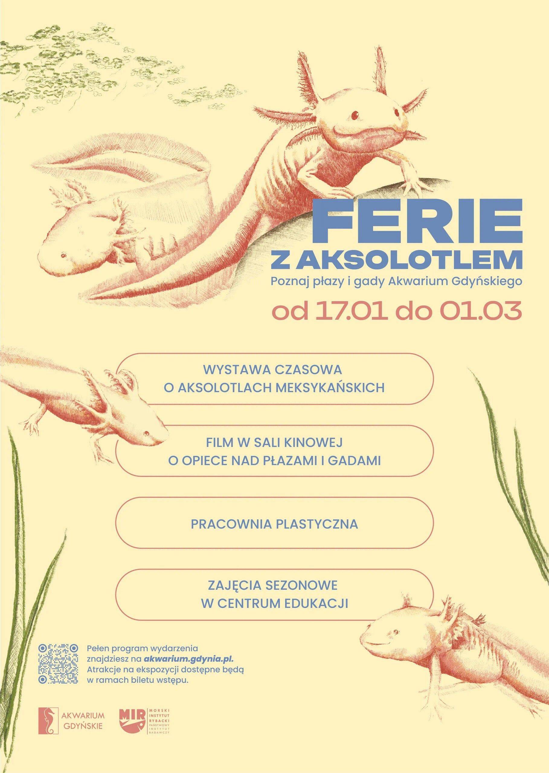 Grafika Ferie z aksolotlem