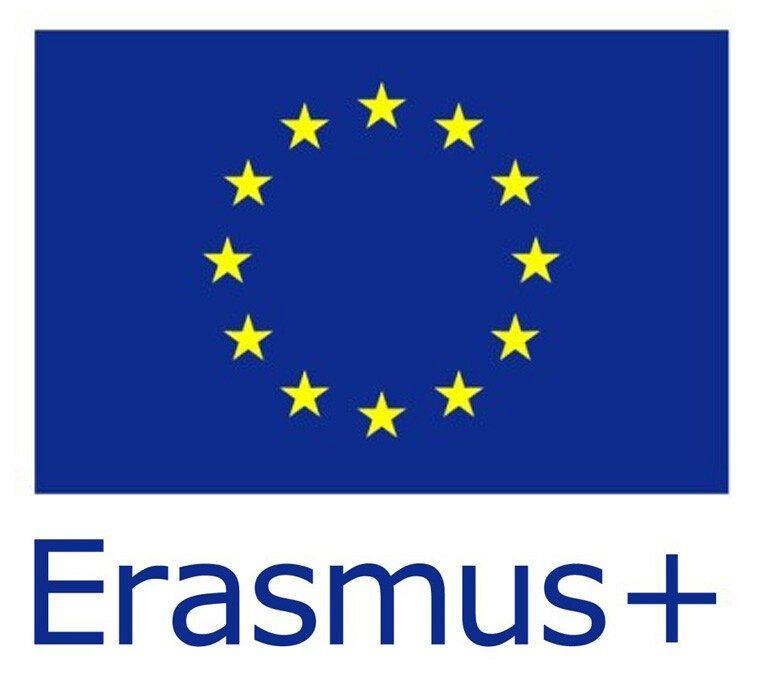 Grafika Erasmus+ Edukacja szkolna, Akcja2: webinaria dla wnioskodawców