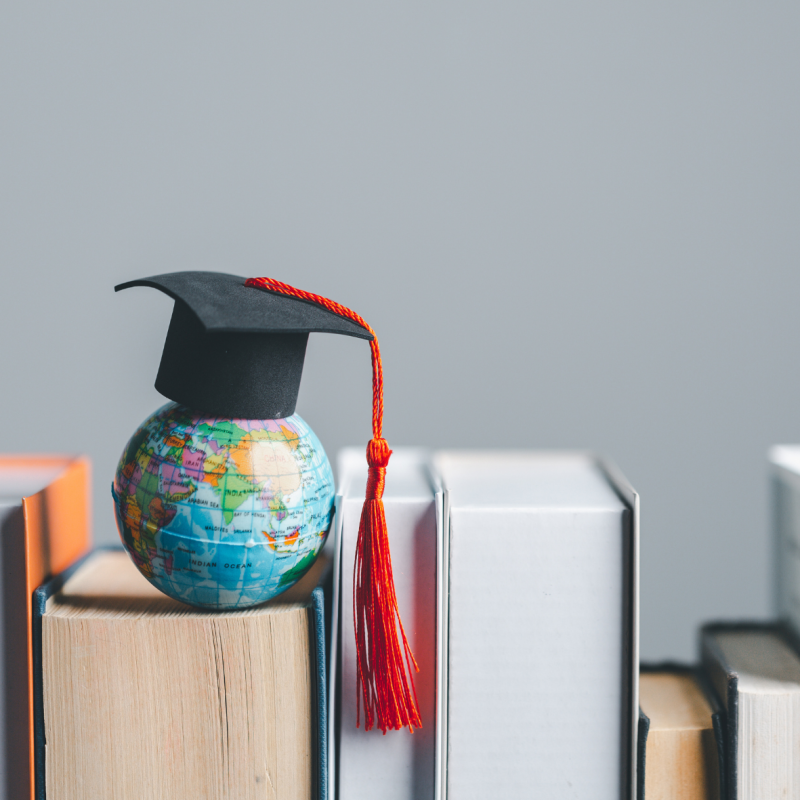 Oferty kształcenia i doskonalenia uczelni wyższych