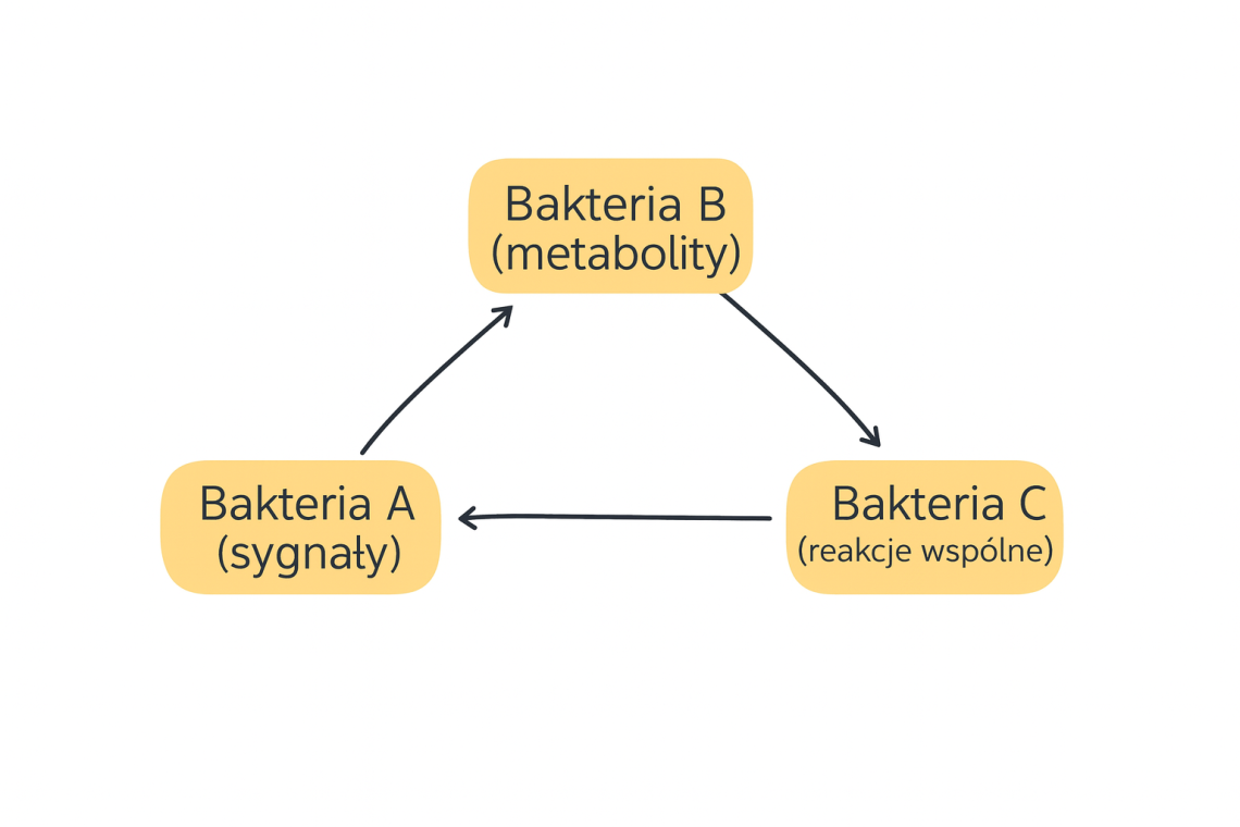 Symbiontomia chemiczna — nowe pojęcie, które zmienia sposób uczenia o świecie mikroorganizmów
