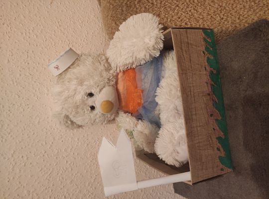 Kateryna-Lisova_SP_1_Supsk