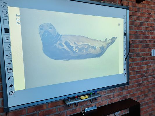 Relacje ze szkolenia dla nauczycieli w ramach projektu Bałtyk bez barier w dniach 21-22 kwiecień oraz 25-26 kwiecień 2022r.