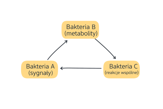 Symbiontomia chemiczna — nowe pojęcie, które zmienia sposób uczenia o świecie mikroorganizmów