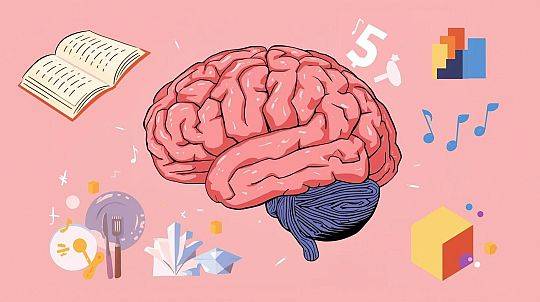 Neurodydaktyka kluczem do efektywnej pracy z dziećmi