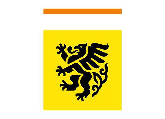 Grafika MIĘDZYNARODOWE SZKOLENIE ONLINE